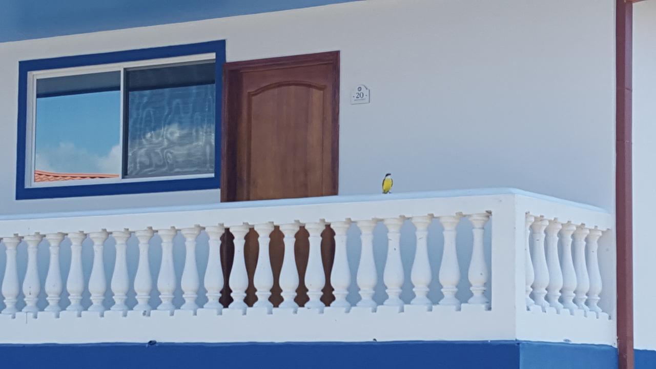 Hotel Grosseto Palma Real Loma Eksteriør bilde